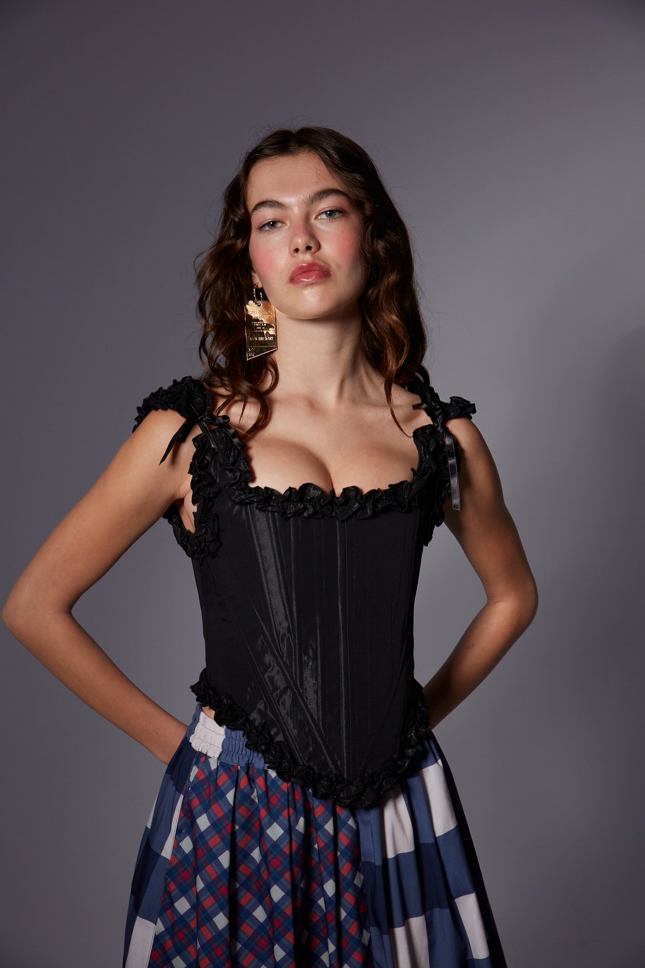 Swan Corset